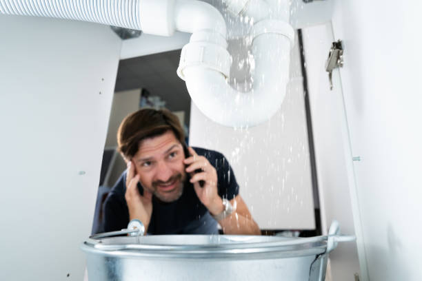 Best Sprinkler Systems  in Driggs, ID