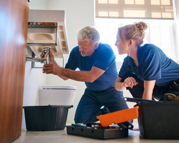 Best Clogged Drain Plumber  in Driggs, ID